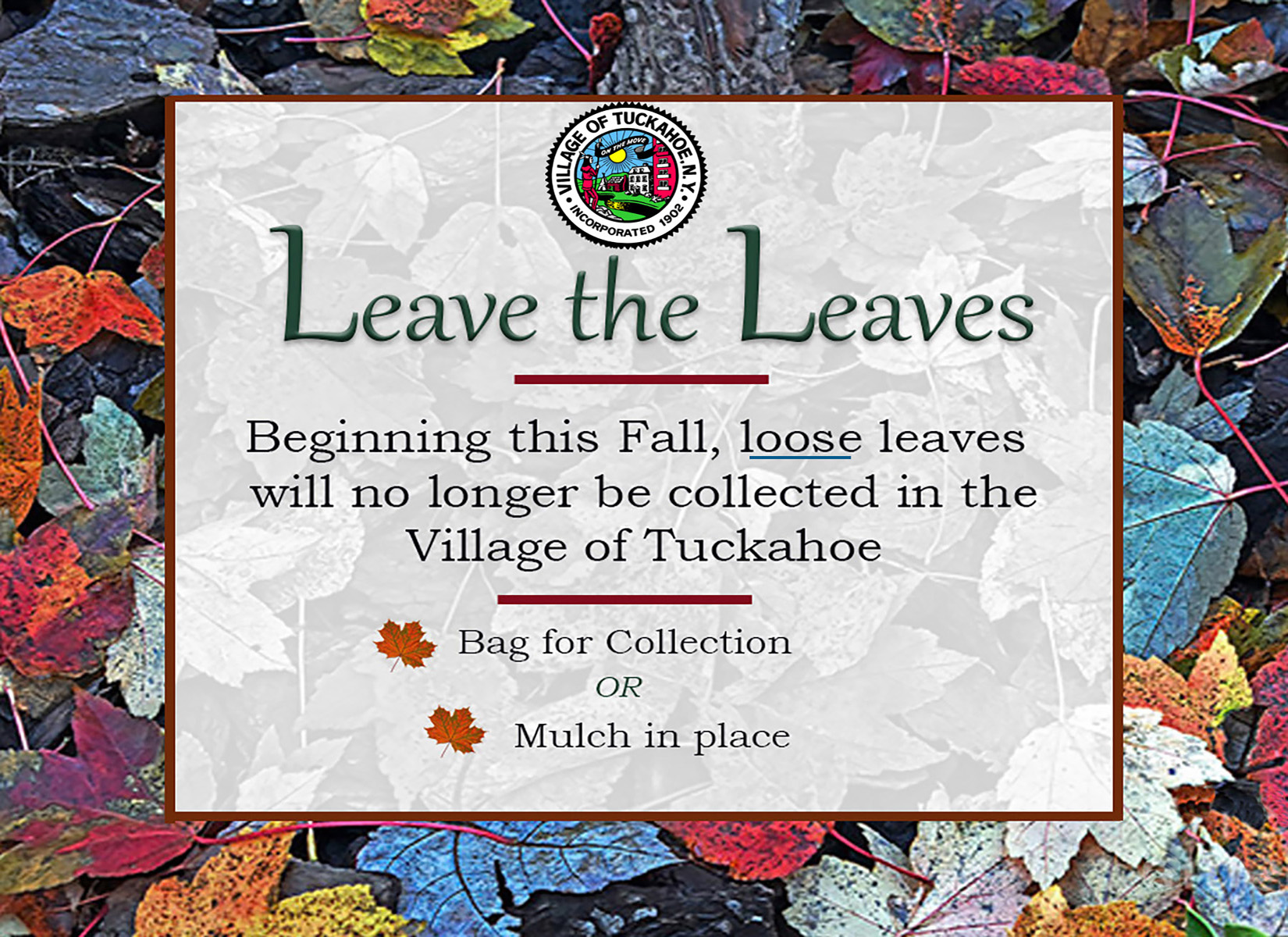 Leave The Leaves